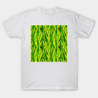 Sansevieria Trifasciata Laurentii Pattern T-Shirt